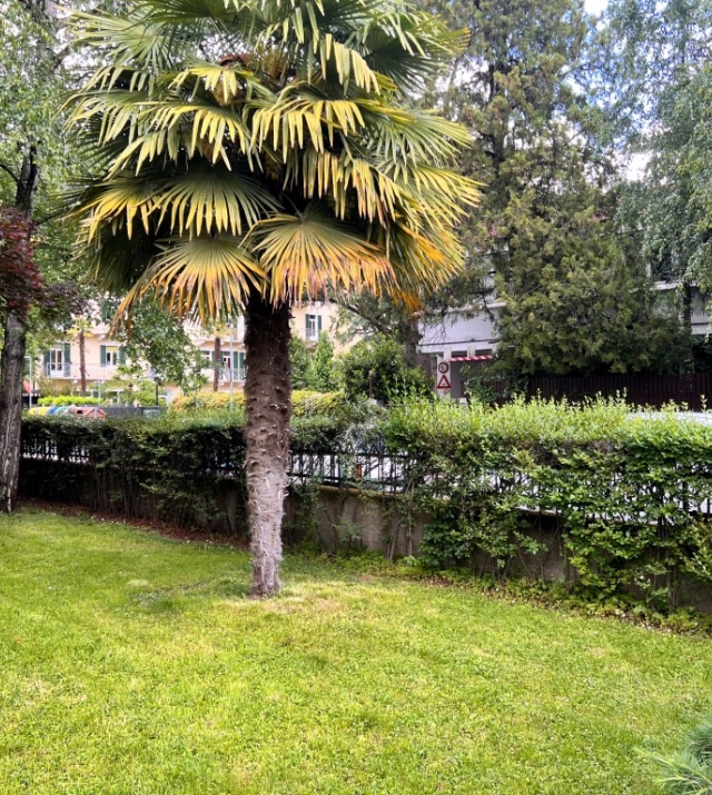 Ampio e Luminoso Quadrilocale con Terrazza Panoramica in Via Guncina – Bolzano Gries
