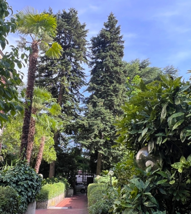 Bolzano Via Segantini – Affascinante appartamento con balcone vivibile esposto a ovest