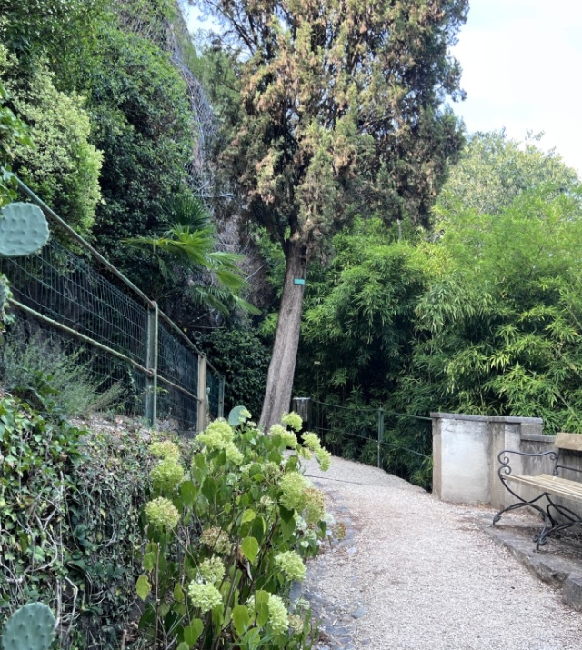 Bolzano Via Segantini – Affascinante appartamento con balcone vivibile esposto a ovest